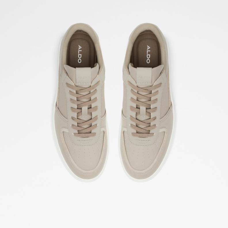 Fashion Brown Drishtia Low Top Sneaker Aldo