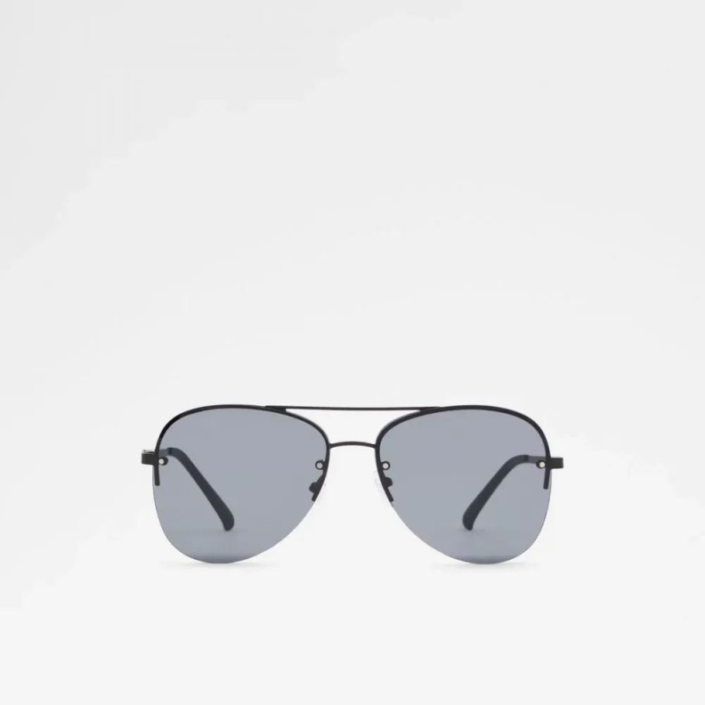 Aldo Fashion Ascaride Men's Accessories Sunglasses Black