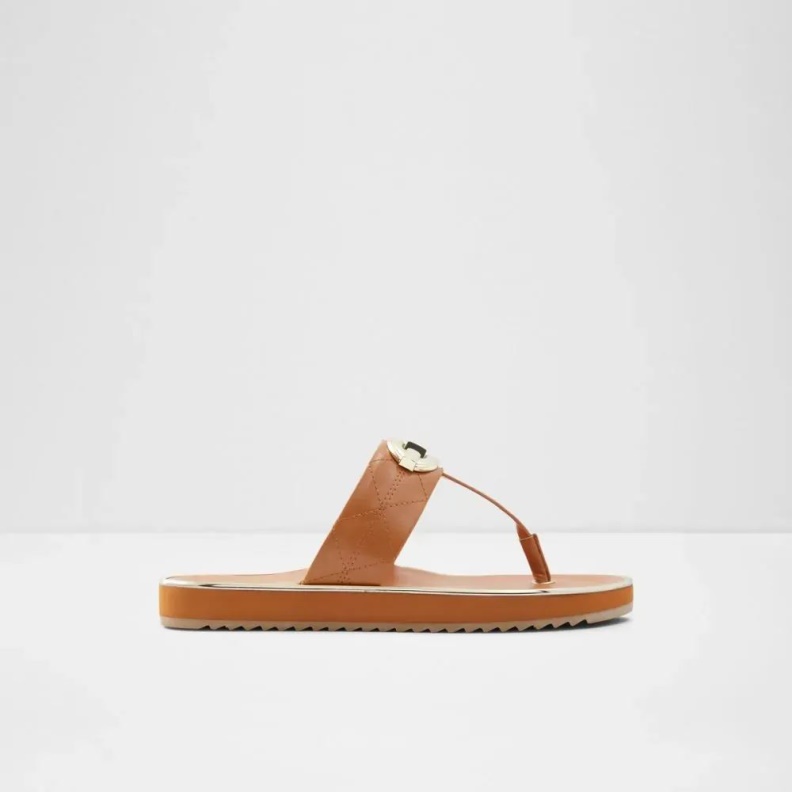 Fashion Medium-Brown Searene Women's Thong Beach Sandal Aldo