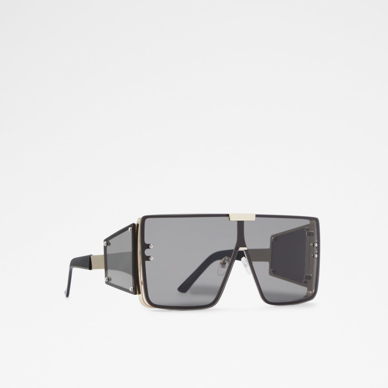 Aldo Fashion Ebabrissi Square Sunglasses Black-Gold Multi
