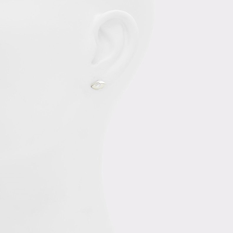 Aldo Fashion Silver-Clear Multi Ebateriel