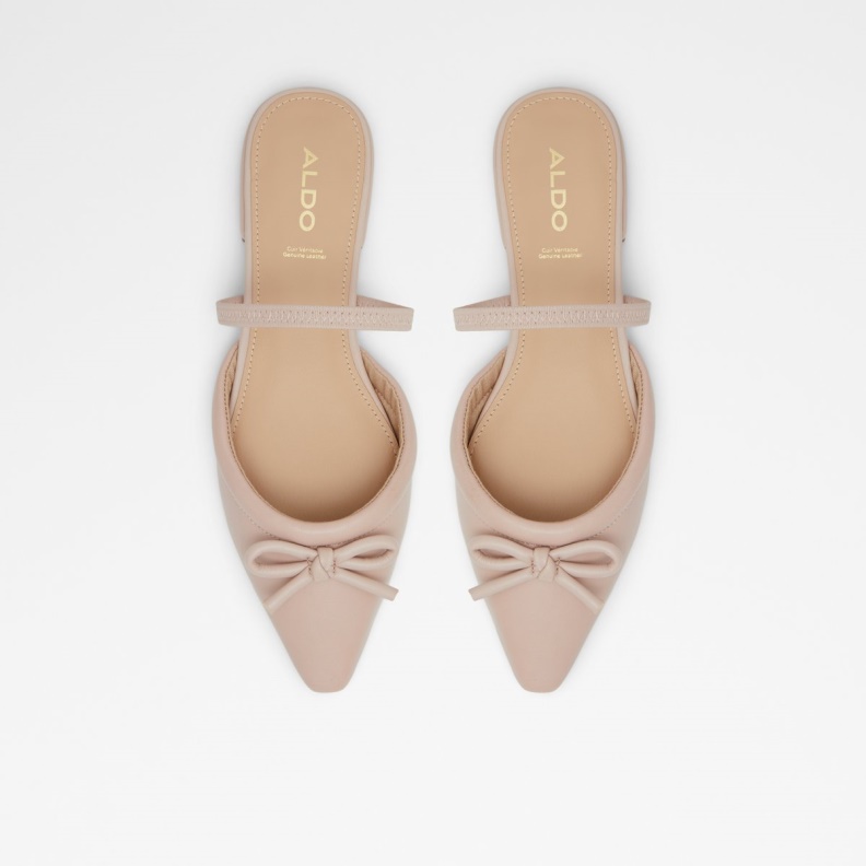 Faralaegyn Mule Ballerina Block Heel Aldo Fashion Light Pink