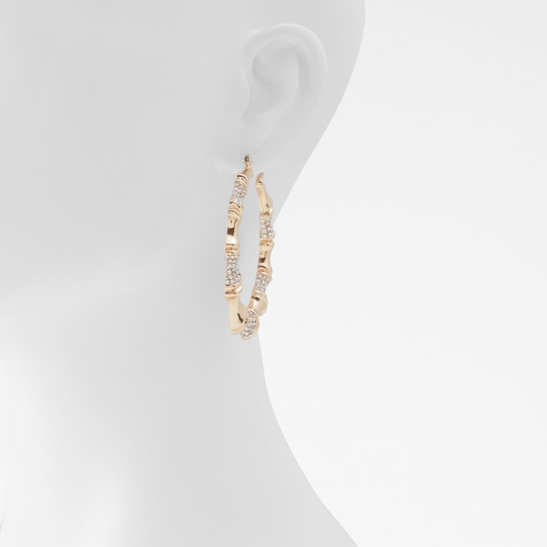 Aldo Gold-Clear Multi Fashion Last Chance Farndon Earrings