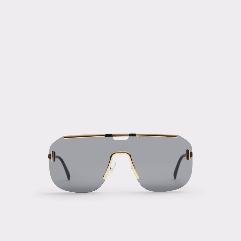 Aldo Black-Gold Multi Fashion Federico Sunglasses