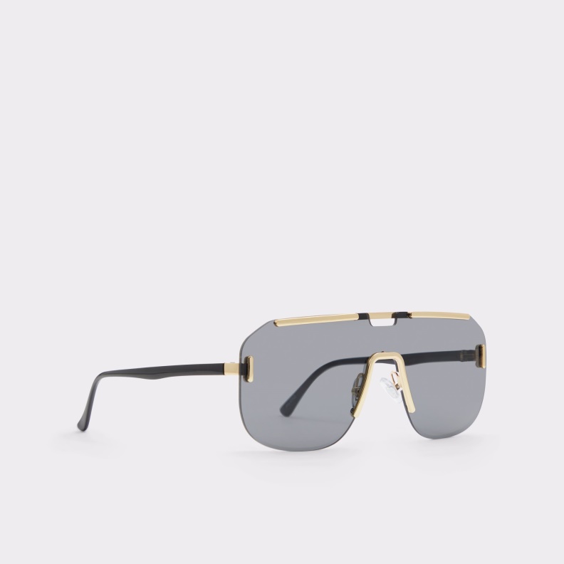 Aldo Black-Gold Multi Fashion Federico Sunglasses
