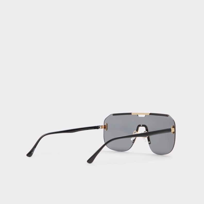 Aldo Black-Gold Multi Fashion Federico Sunglasses