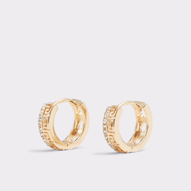 Fashion Gold-Clear Multi Last Chance Fyg Earrings Aldo