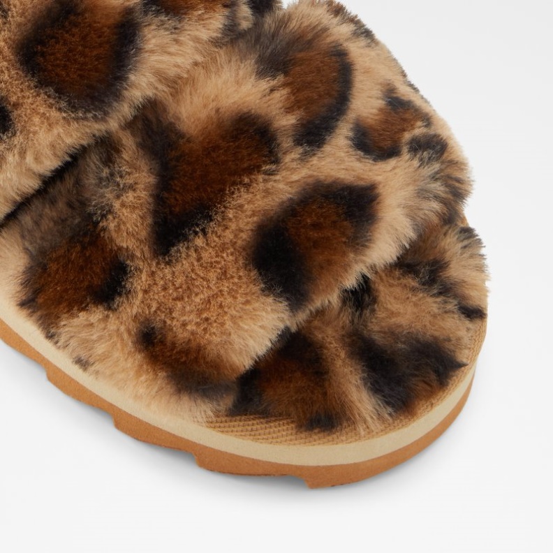 Braune Gaismas Aldo Mode