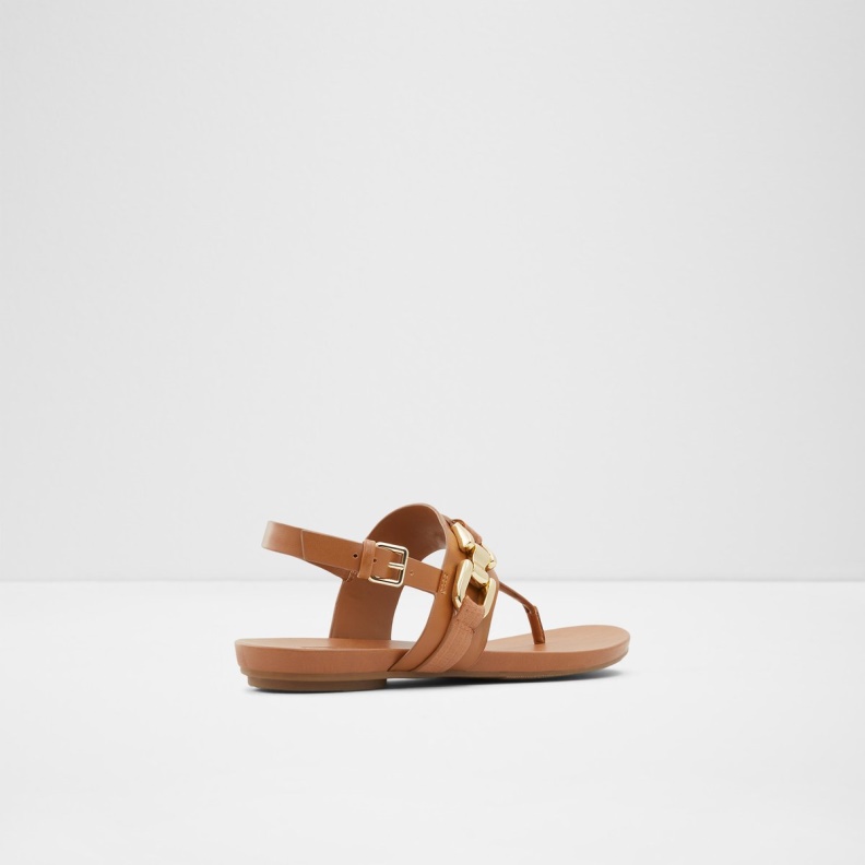 Medium Brown Gannamaryn T-Strap Sandal Fashion Aldo