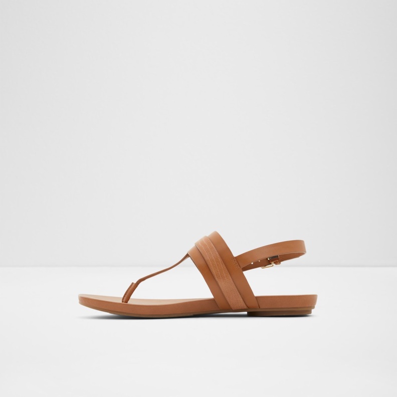 Medium Brown Gannamaryn T-Strap Sandal Fashion Aldo