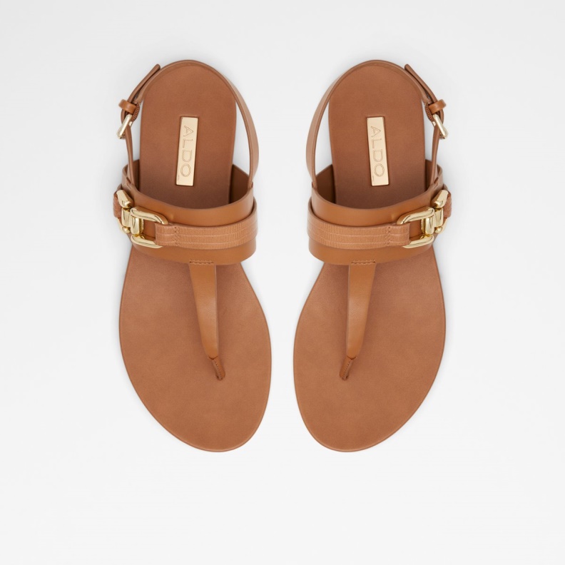 Medium Brown Gannamaryn T-Strap Sandal Fashion Aldo