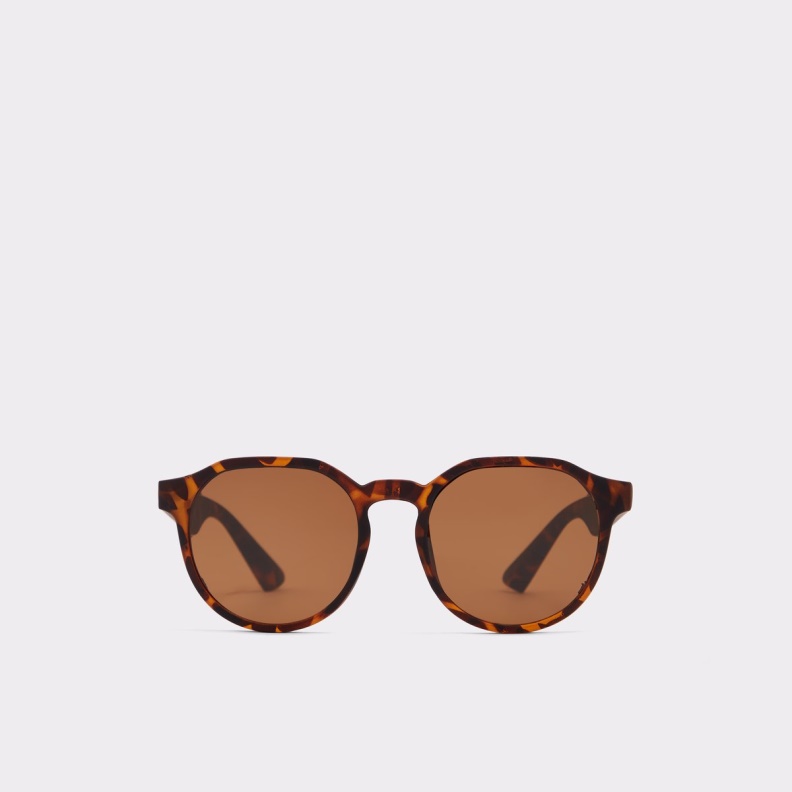 Aldo Glenvillan Round Sunglasses Brown Fashion