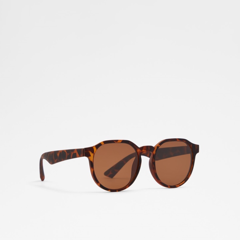 Aldo Glenvillan Round Sunglasses Brown Fashion