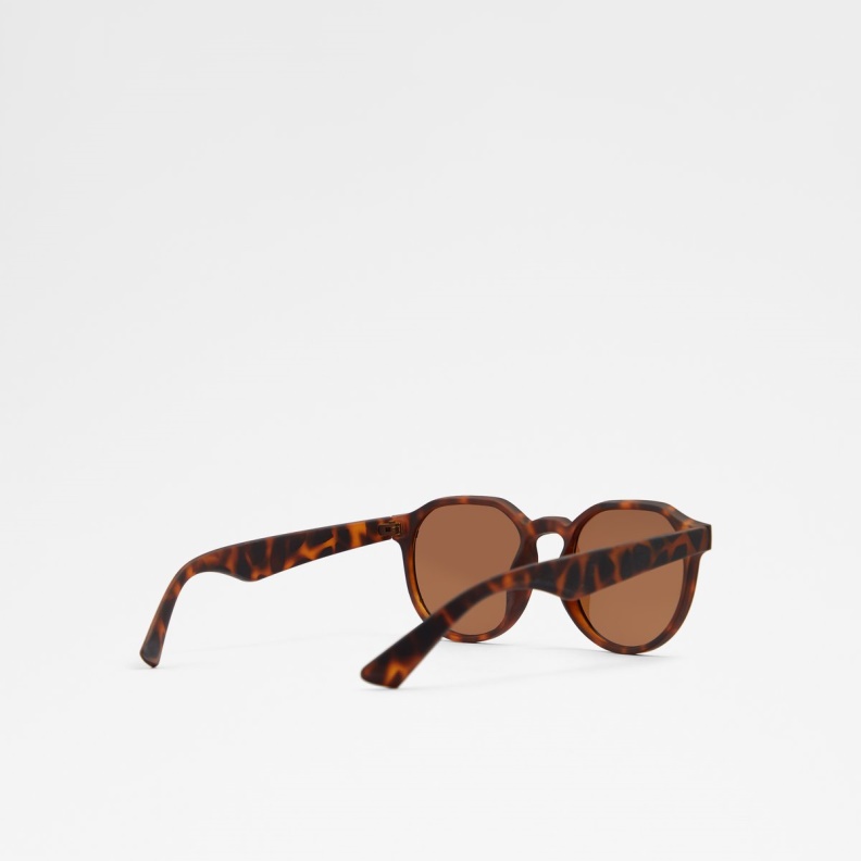 Aldo Glenvillan Round Sunglasses Brown Fashion