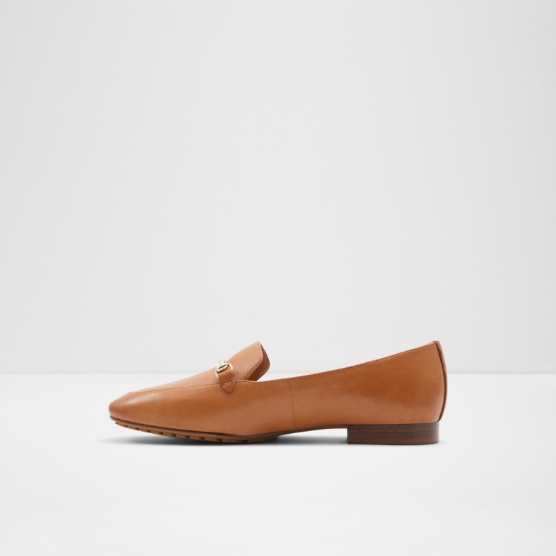 Medium Brown Harriot Slip-On Fashion Aldo