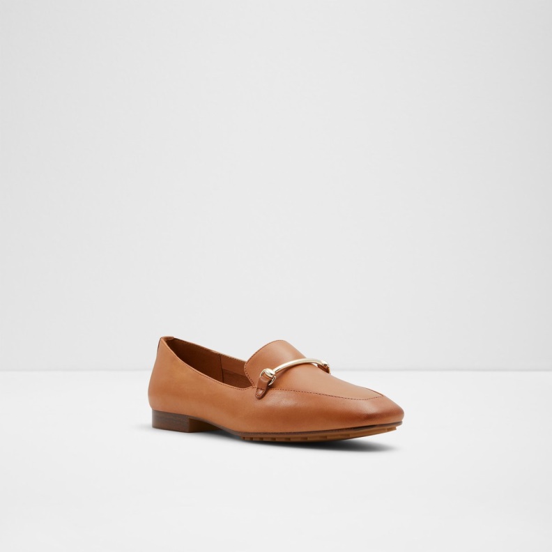 Medium Brown Harriot Slip-On Fashion Aldo