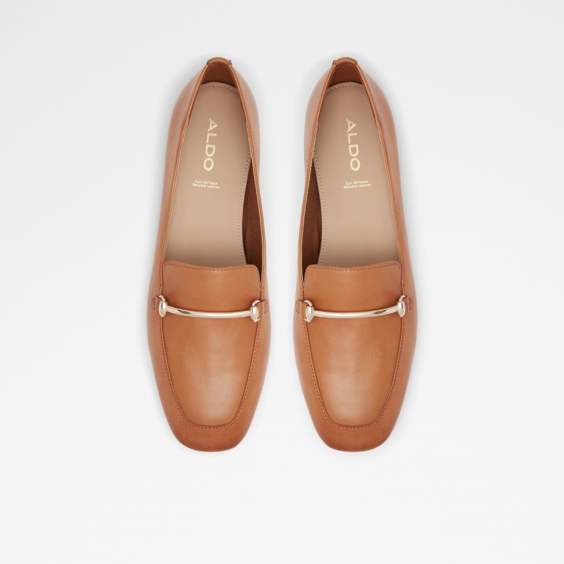 Medium Brown Harriot Slip-On Fashion Aldo