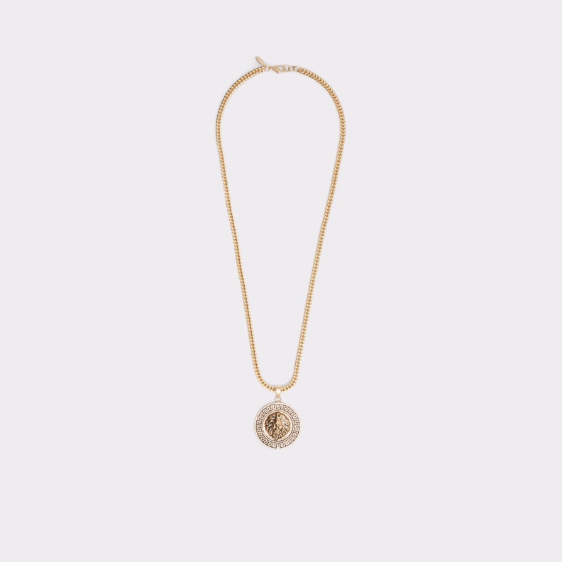 Fashion Aldo Gold Ibelasen Necklace