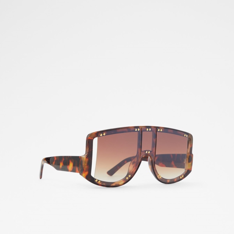 Brown Javabriclya Shield Sunglasses Aldo Fashion