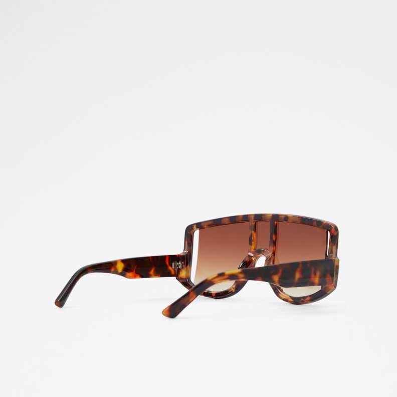 Brown Javabriclya Shield Sunglasses Aldo Fashion