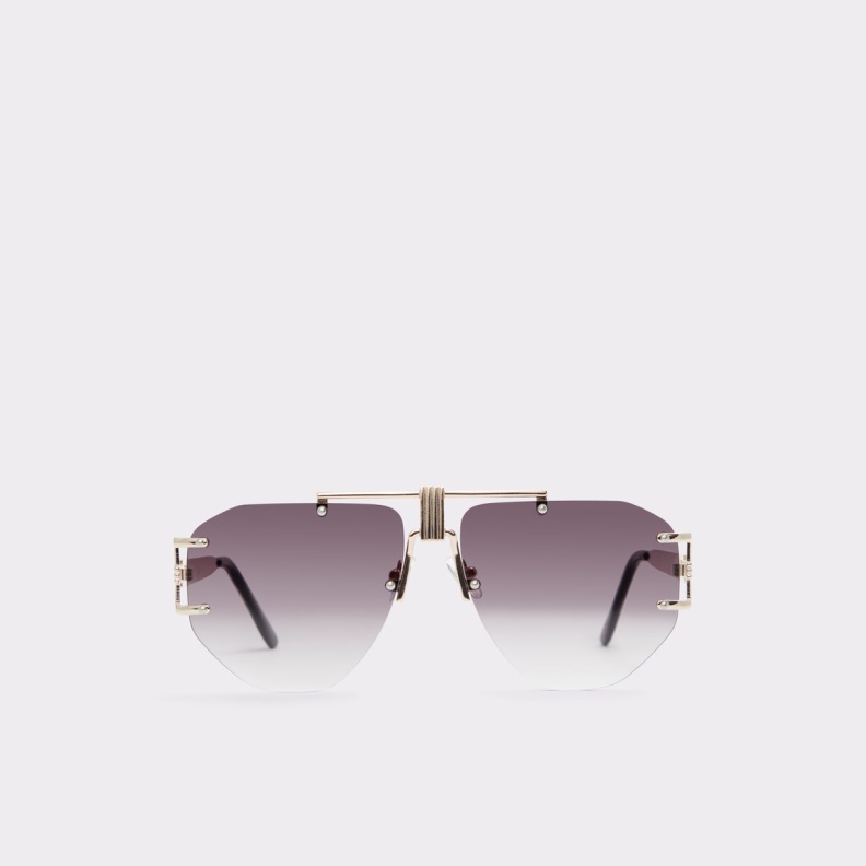 Fashion Aldo Gold New Arrival Jehan Sunglasses