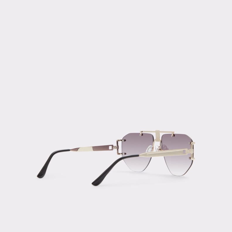 Fashion Aldo Gold New Arrival Jehan Sunglasses