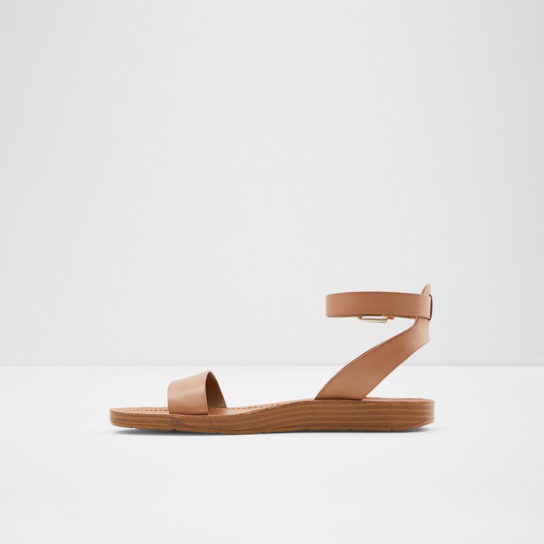 Aldo Fashion Brown Kedaredia Flat Sandal