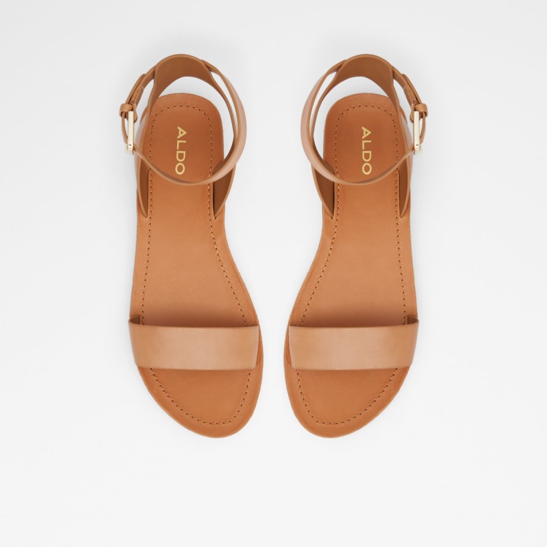 Aldo Fashion Brown Kedaredia Flat Sandal