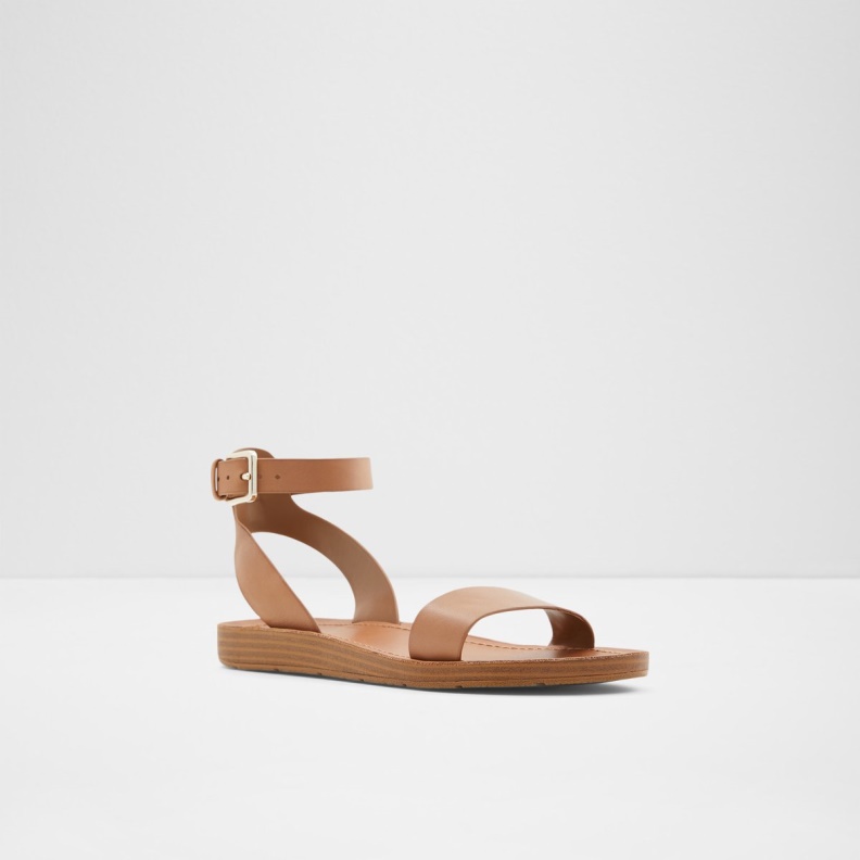 Kedaredia Flat Sandal Fashion Brown Aldo