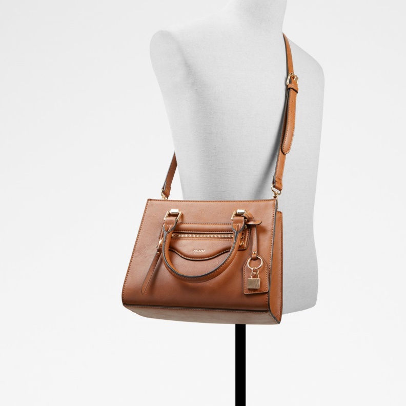 Sold Out Laerin Tote Bag Fashion Aldo Brown