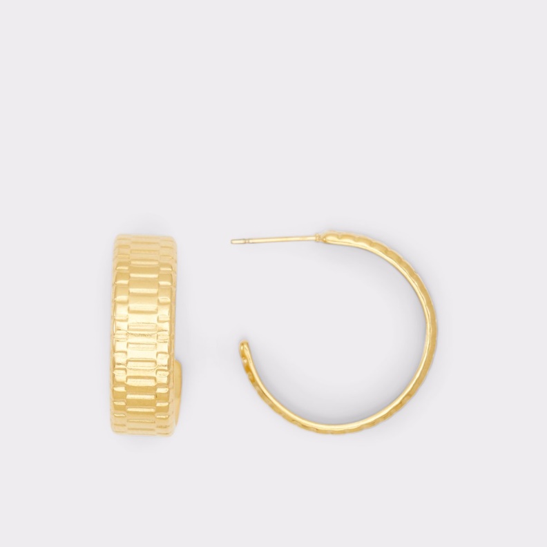 Fashion New Arrival Lothoa Earrings Aldo