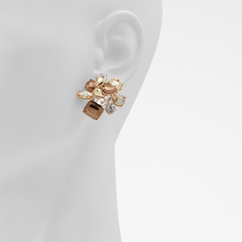 Fashion Bronze Last Chance Malamocco Earrings Aldo