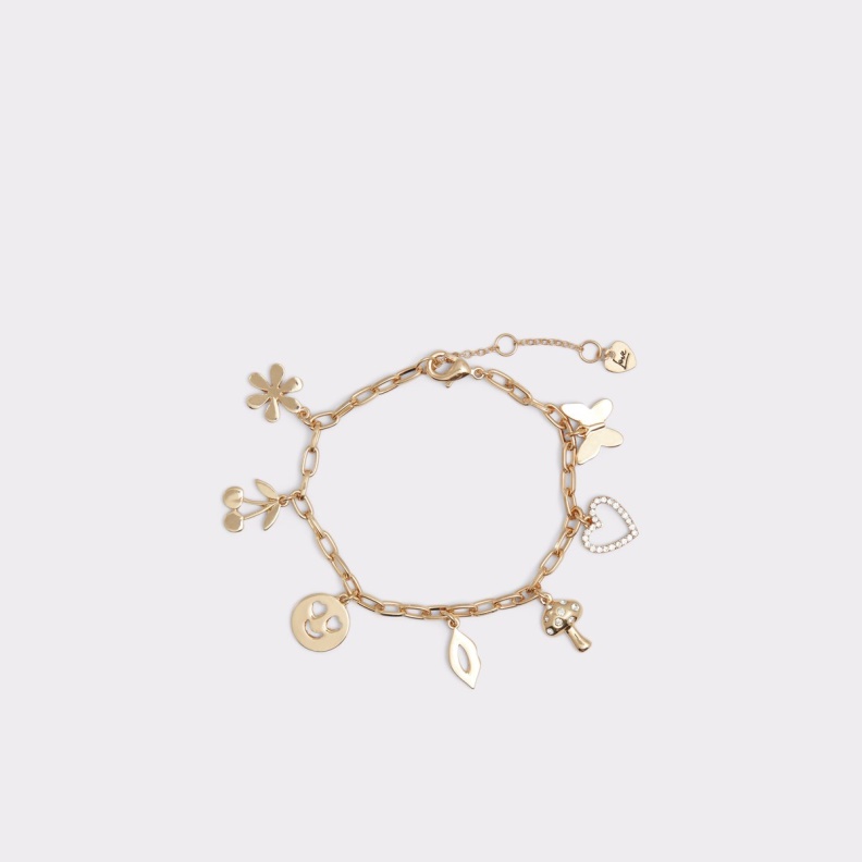 Aldo Gold-Clear Multi Fashion Merelplein Bracelet