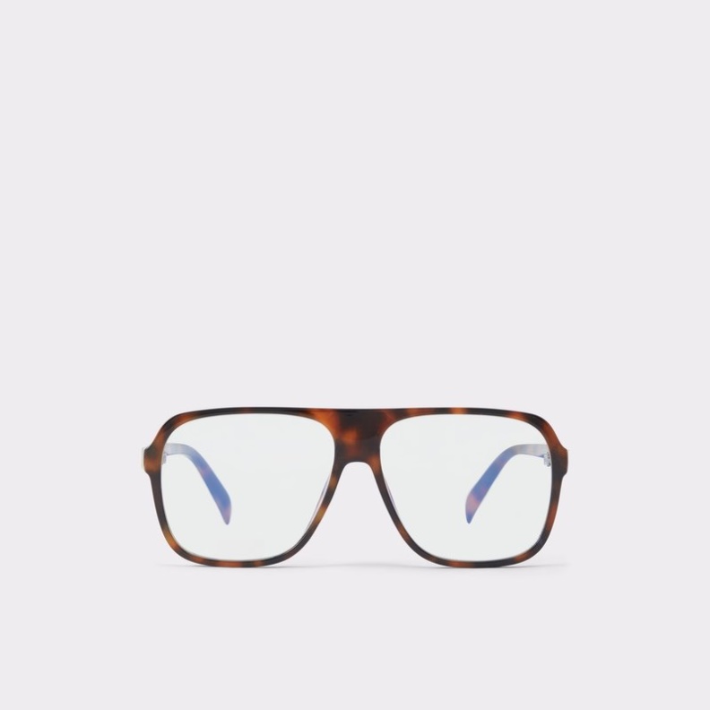 Brown Midholm Aldo Fashion