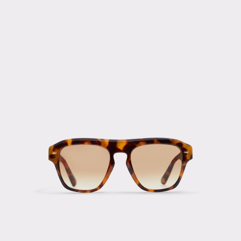 Milicien Sunglasses Aldo Fashion Brown