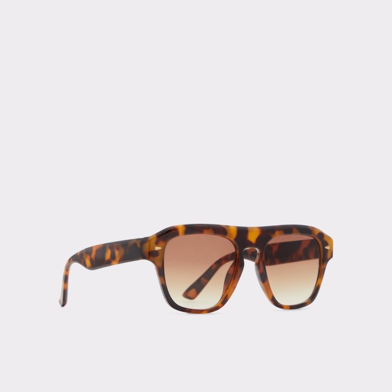 Milicien Sunglasses Aldo Fashion Brown