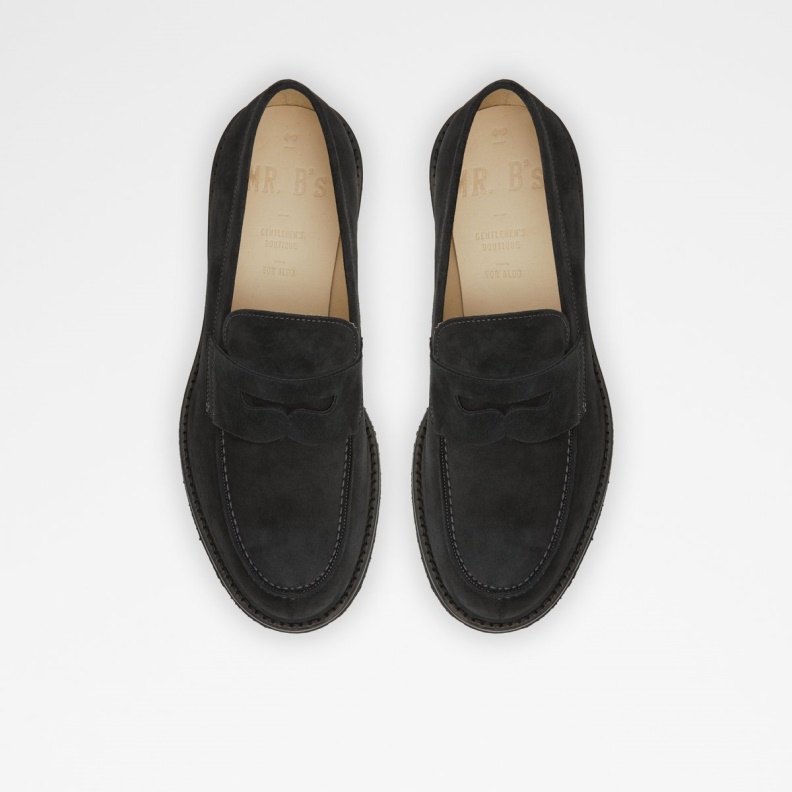 Nigel Loafer Aldo Fashion Navy