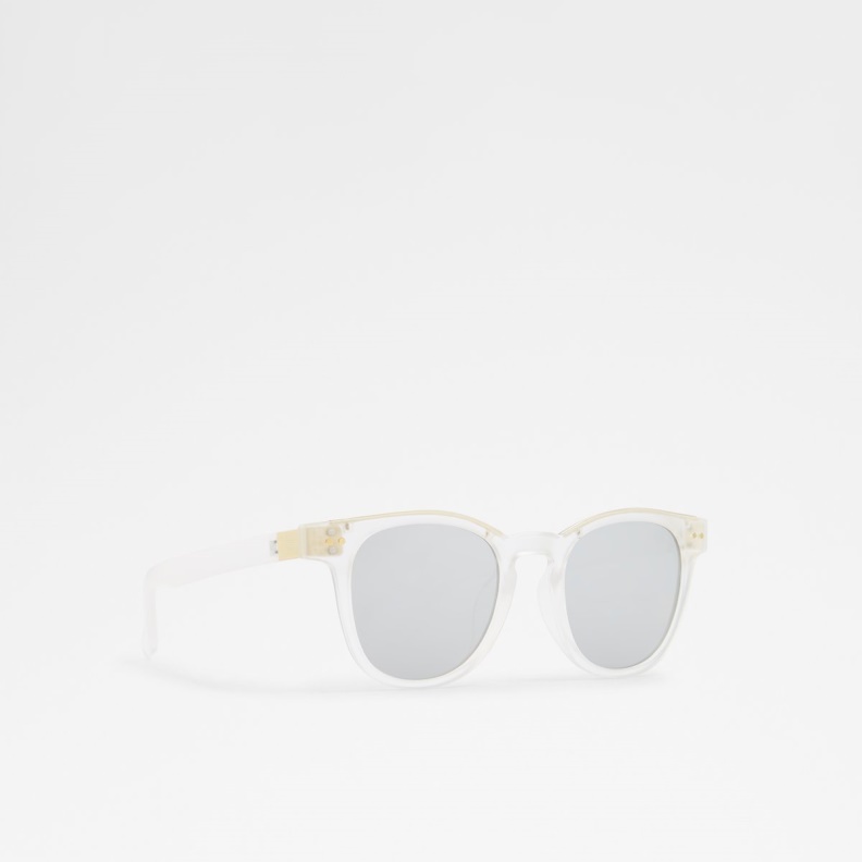Aldo Fashion Clear Nydien Round Sunglasses