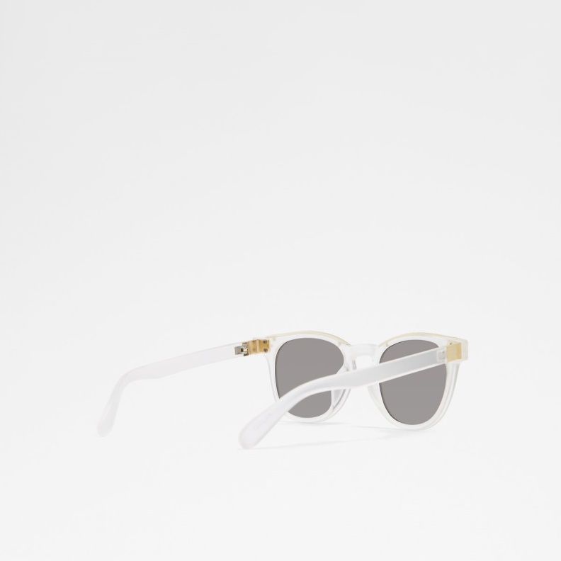 Aldo Fashion Clear Nydien Round Sunglasses