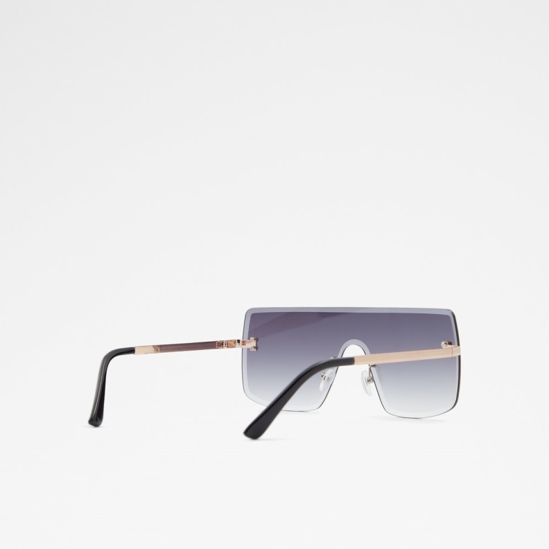 Aldo Ocorenna Shield Sunglasses Black-Gold Multi Fashion