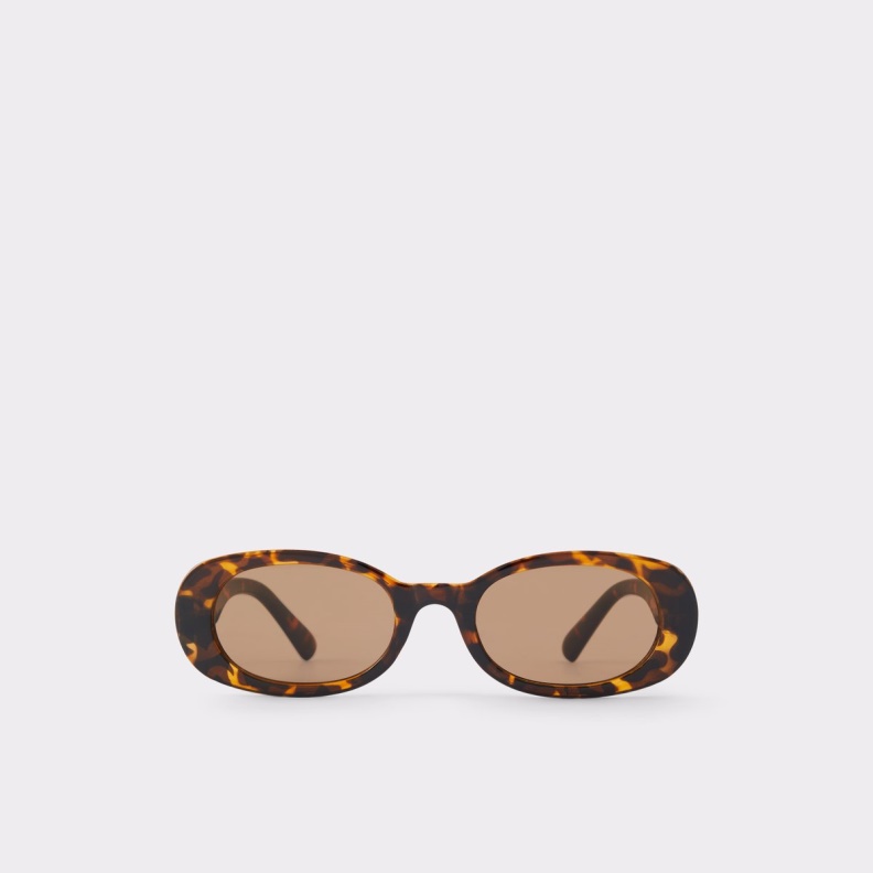 Aldo Fashion Brown Onoren Round Sunglasses