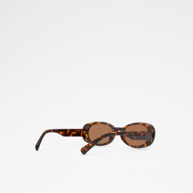 Aldo Fashion Brown Onoren Round Sunglasses