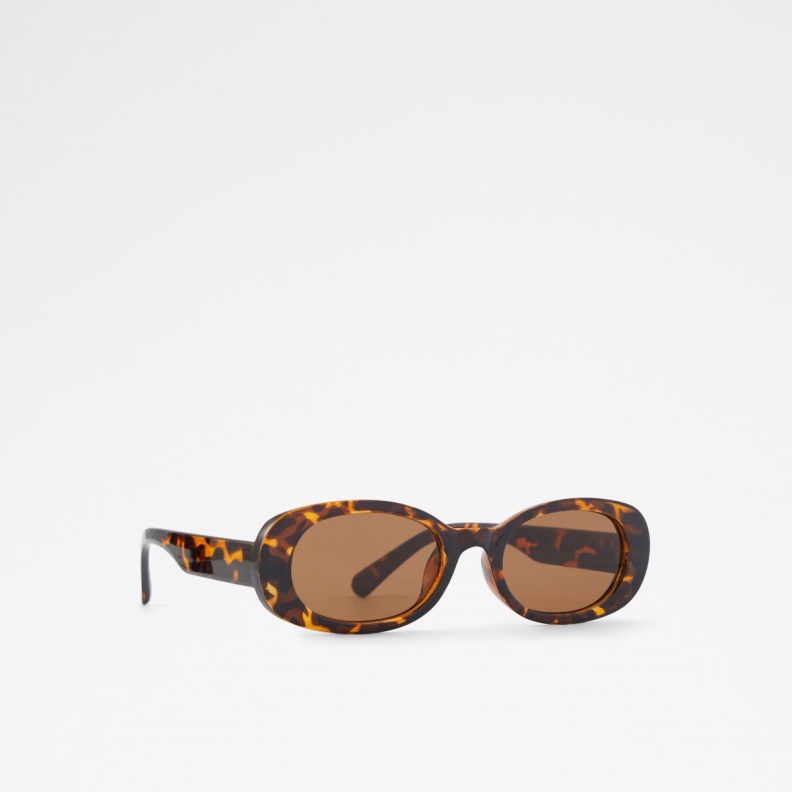 Onoren Round Sunglasses Brown Aldo Fashion