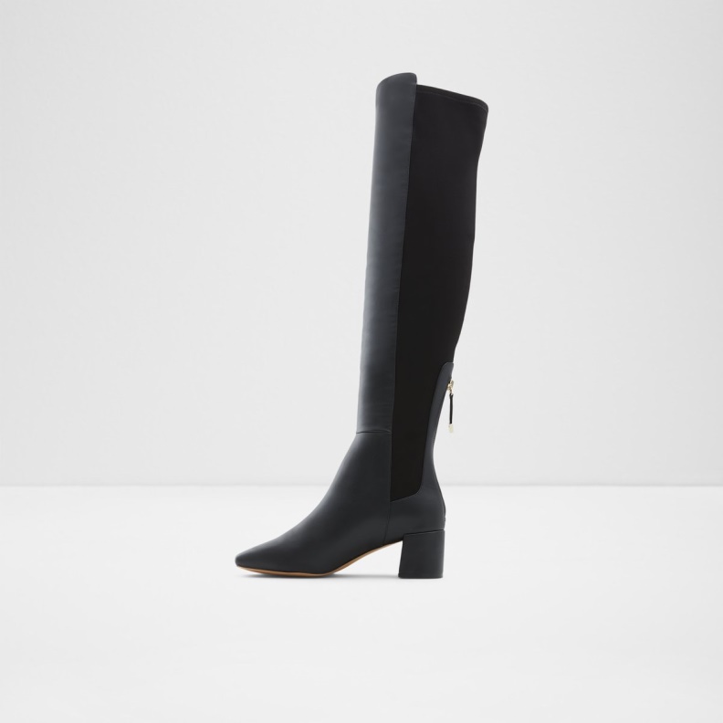 Pellagia Over-The-Knee Boot Aldo Fashion Black Synthetic