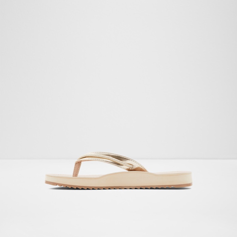 Aldo Fashion Champagne Polo Flip Flops