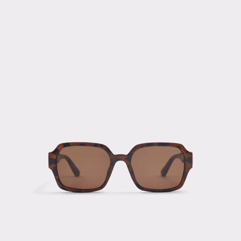 Quoll Sunglasses Brown Aldo Fashion