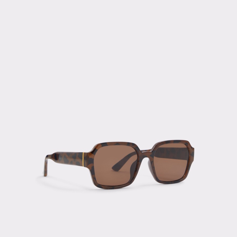 Quoll Sunglasses Brown Aldo Fashion