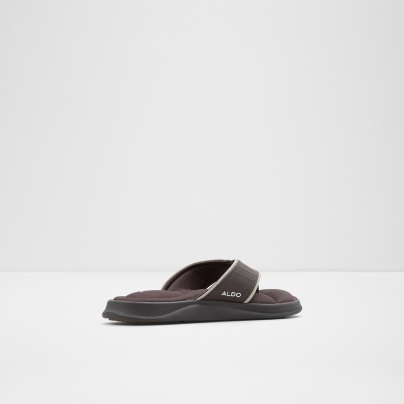 Rassen Dark Brown Aldo Fashion