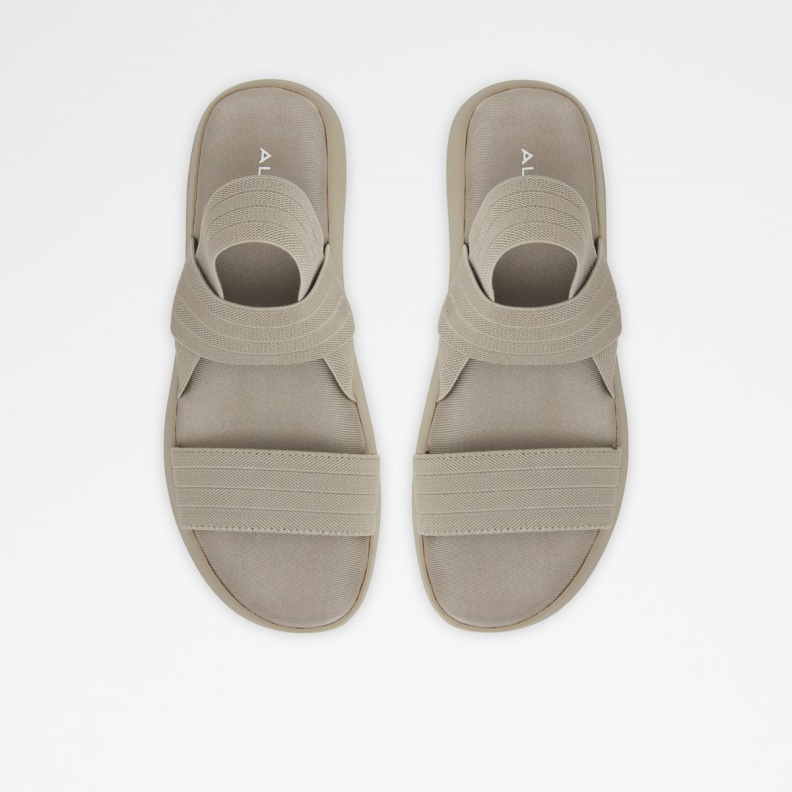 Fashion Aldo Brown Reposa Sling Back Flat Sandal