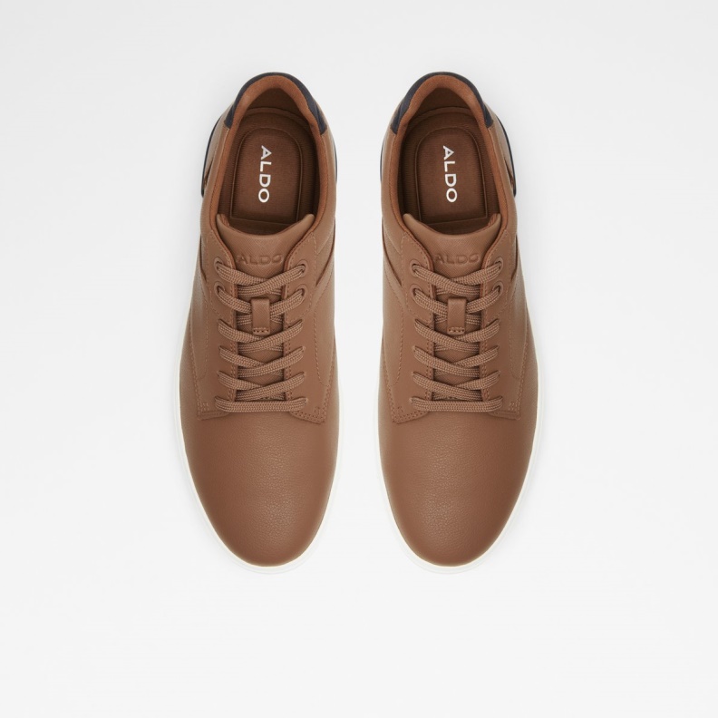 Cognac Aldo Fashion Rigidus Low Top Sneaker